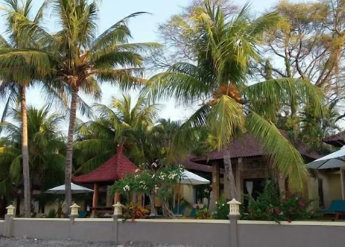 Apa Kabar 3*